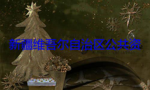 新疆维吾尔心副主任薛建强接受审查调查自治区公共资源交易中