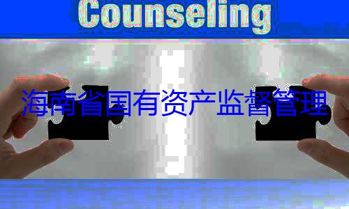 委副书记王有福接受审查调查资产监督管海南省国有理委员会党